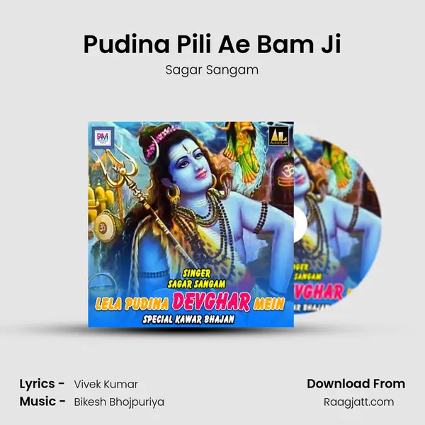 Pudina Pili Ae Bam Ji - Sagar Sangam album cover 