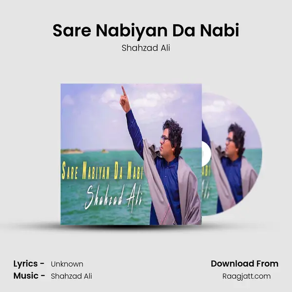 Sare Nabiyan Da Nabi - Shahzad Ali album cover 