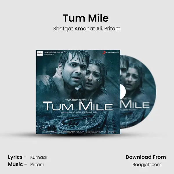 Tum Mile (Rock) - Shafqat Amanat Ali album cover 