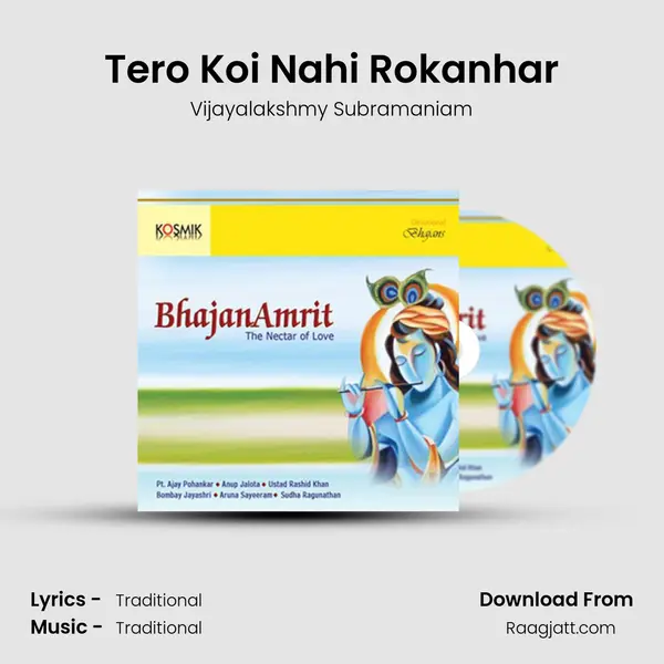 Tero Koi Nahi Rokanhar - Vijayalakshmy Subramaniam album cover 