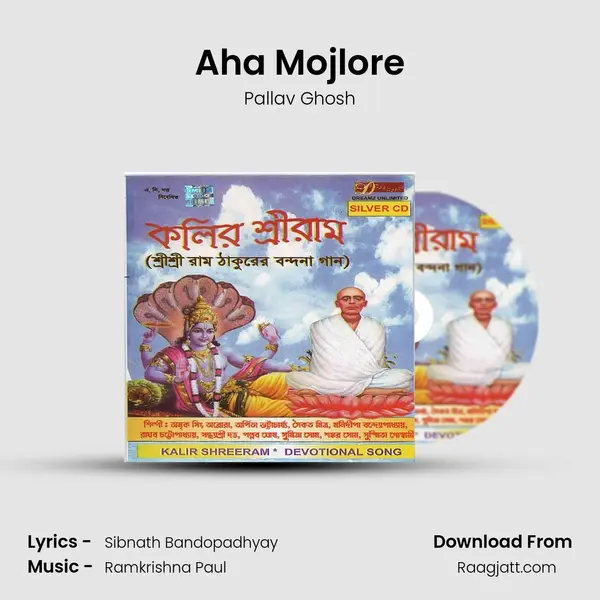 Aha Mojlore - Pallav Ghosh album cover 