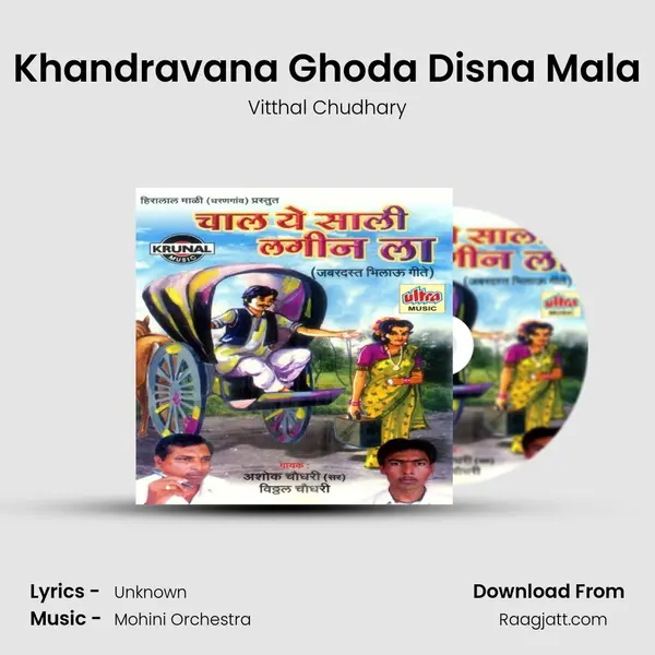 Khandravana Ghoda Disna Mala - Vitthal Chudhary album cover 