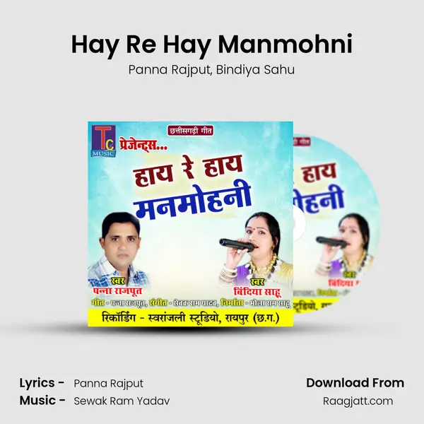 Hay Re Hay Manmohni - Panna Rajput album cover 