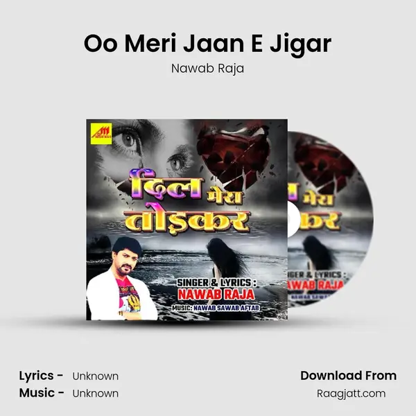 Oo Meri Jaan E Jigar - Nawab Raja album cover 