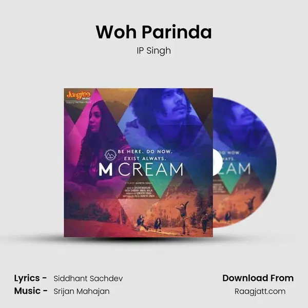 Woh Parinda - IP Singh album cover 