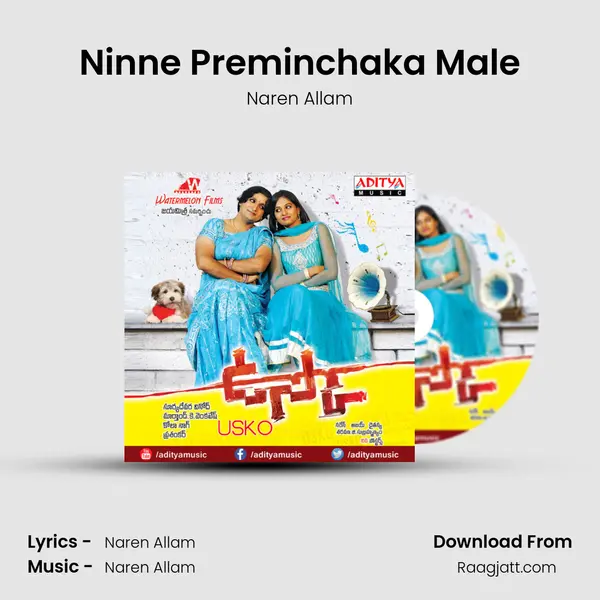 Ninne Preminchaka Male - Naren Allam album cover 