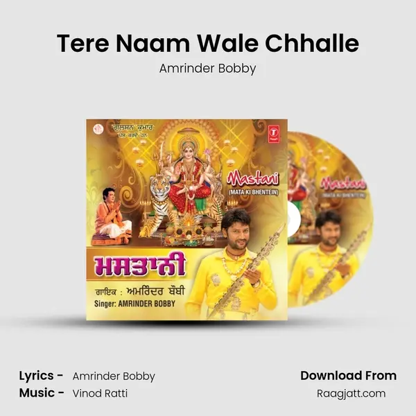 Tere Naam Wale Chhalle - Amrinder Bobby album cover 