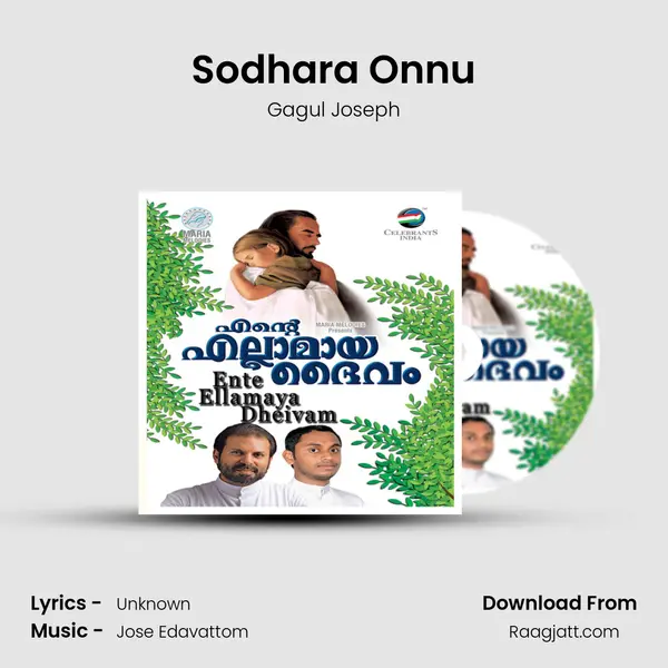 Sodhara Onnu mp3 song