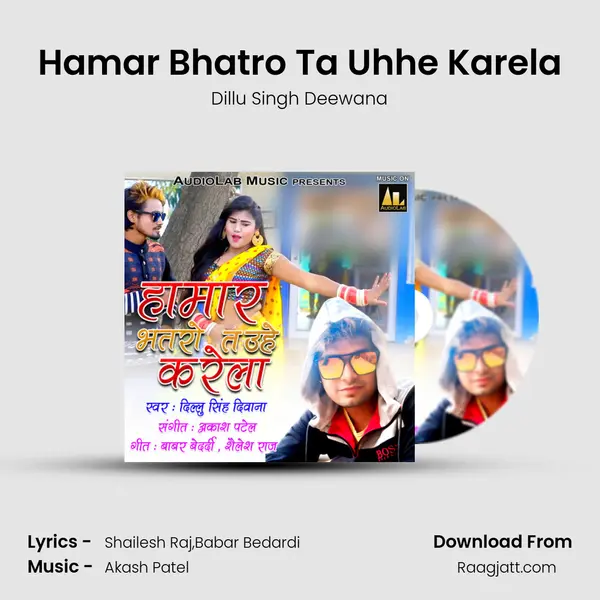 Hamar Bhatro Ta Uhhe Karela - Dillu Singh Deewana album cover 