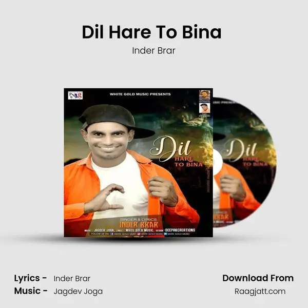 Dil Hare To Bina (Remix) mp3 song