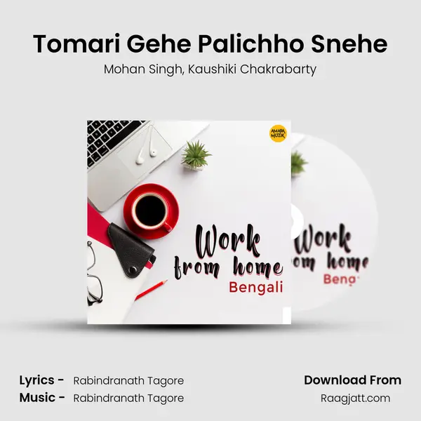 Tomari Gehe Palichho Snehe mp3 song