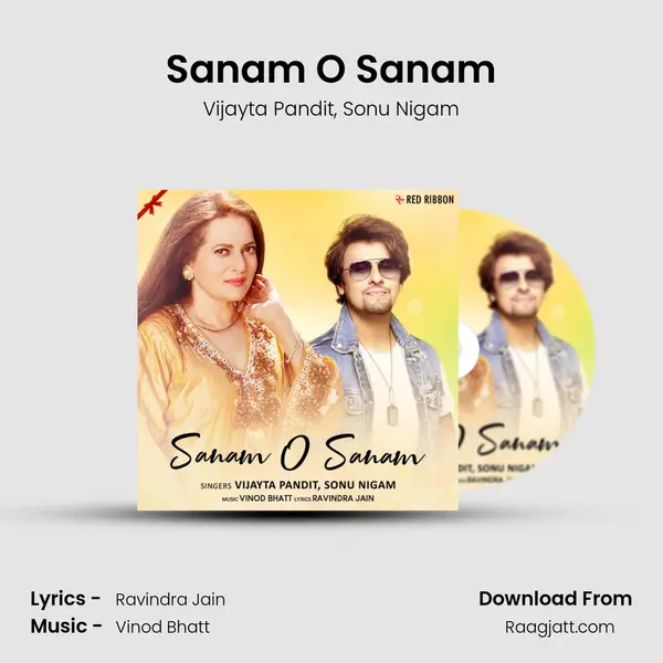 Sanam O Sanam - Vijayta Pandit mp3 song