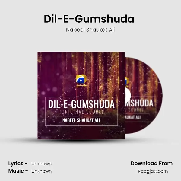 Dil-E-Gumshuda (Original Score) - Nabeel Shaukat Ali album cover 