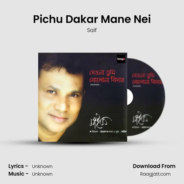 Pichu Dakar Mane Nei - Saif album cover 