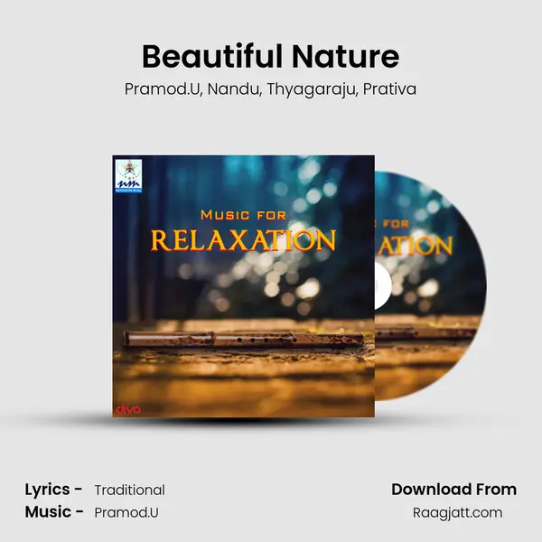 Beautiful Nature mp3 song