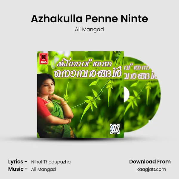 Azhakulla Penne Ninte - Ali Mangad album cover 