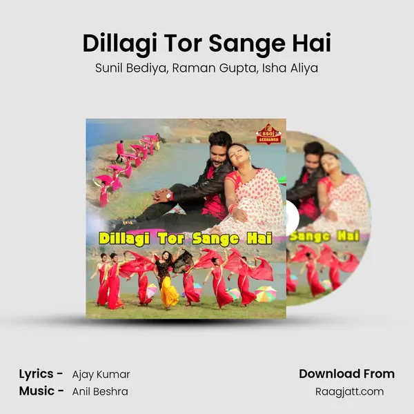 Dillagi Tor Sange Hai mp3 song