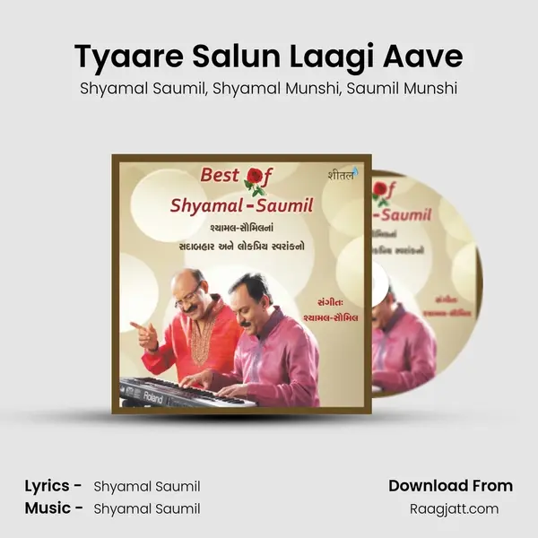 Tyaare Salun Laagi Aave - Shyamal Saumil album cover 