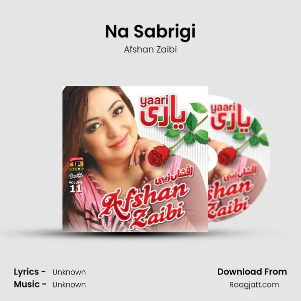 Na Sabrigi - Afshan Zaibi album cover 