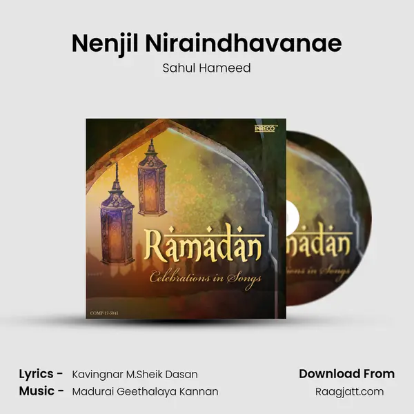 Nenjil Niraindhavanae mp3 song