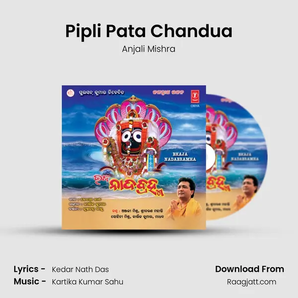 Pipli Pata Chandua - Anjali Mishra album cover 