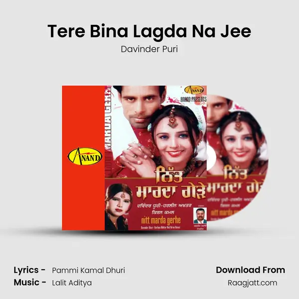 Tere Bina Lagda Na Jee - Davinder Puri album cover 