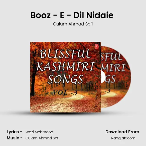 Booz - E - Dil Nidaie (From 