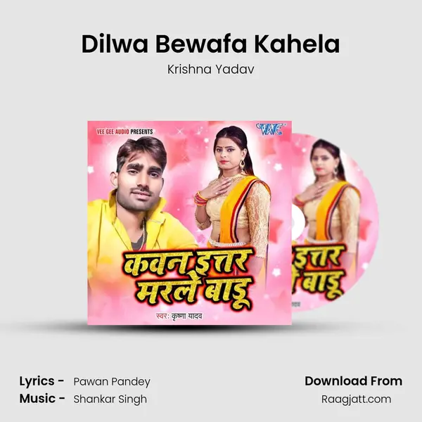 Dilwa Bewafa Kahela mp3 song