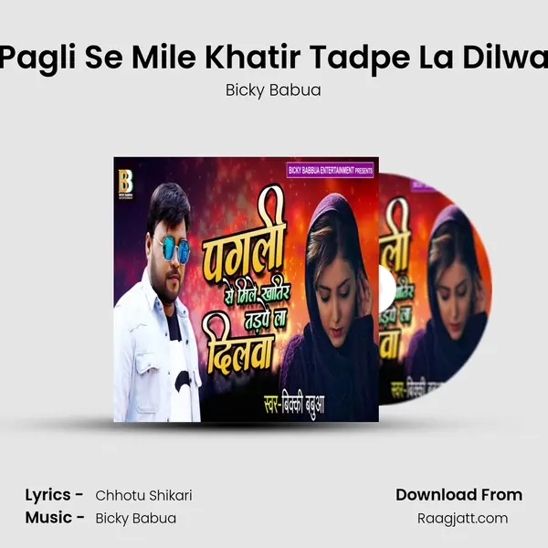 Pagli Se Mile Khatir Tadpe La Dilwa mp3 song