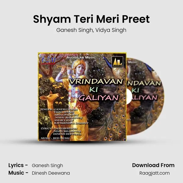 Shyam Teri Meri Preet mp3 song