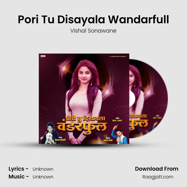 Pori Tu Disayala Wandarfull - Vishal Sonawane album cover 