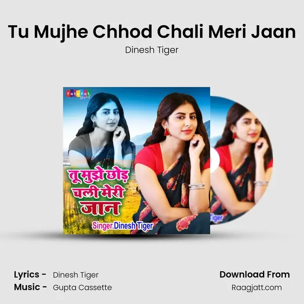 Tu Mujhe Chhod Chali Meri Jaan - Dinesh Tiger album cover 