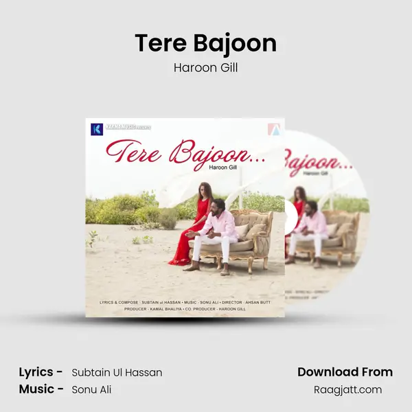 Tere Bajoon - Haroon Gill album cover 