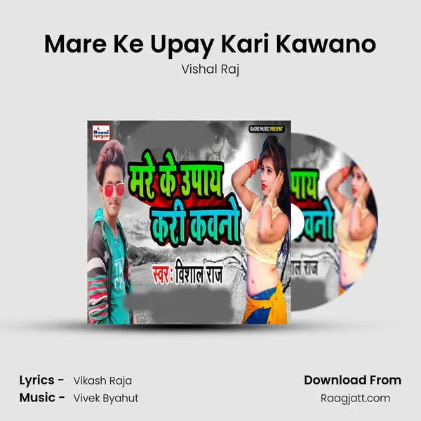 Mare Ke Upay Kari Kawano - Vishal Raj album cover 