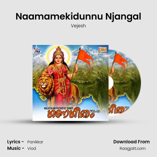 Naamamekidunnu Njangal - Vejesh album cover 