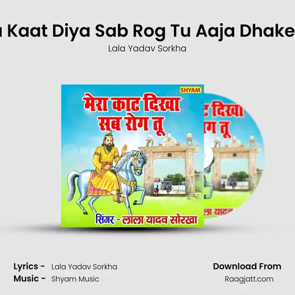 Mera Kaat Diya Sab Rog Tu Aaja Dhakewale mp3 song