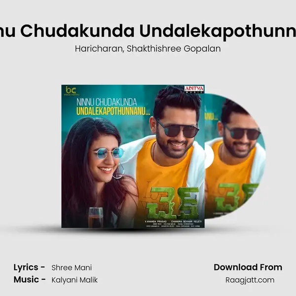 Ninnu Chudakunda Undalekapothunnanu mp3 song