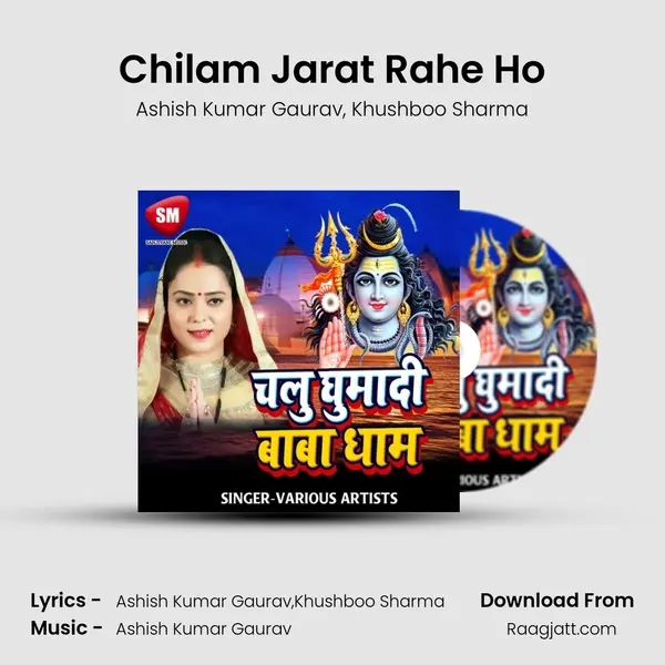 Chilam Jarat Rahe Ho - Ashish Kumar Gaurav album cover 