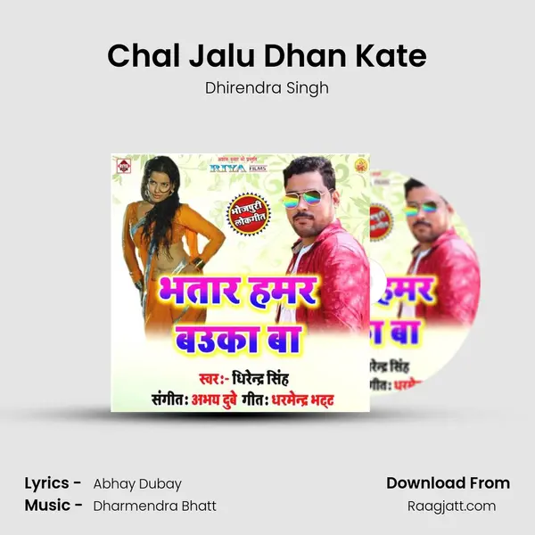 Chal Jalu Dhan Kate - Dhirendra Singh album cover 