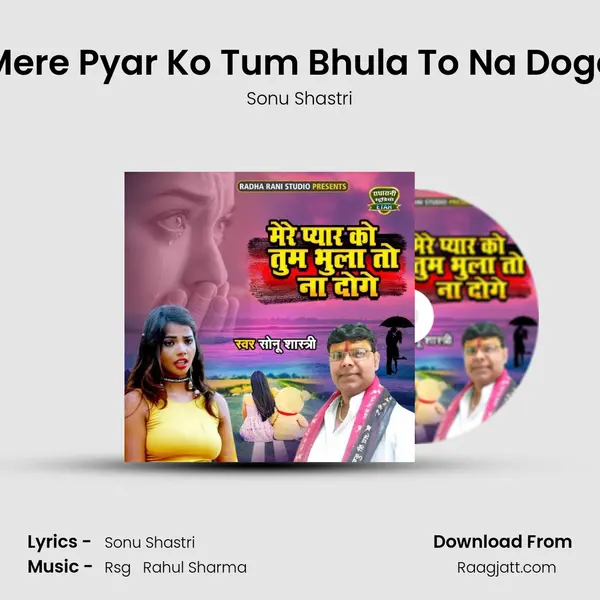 Mere Pyar Ko Tum Bhula To Na Doge mp3 song