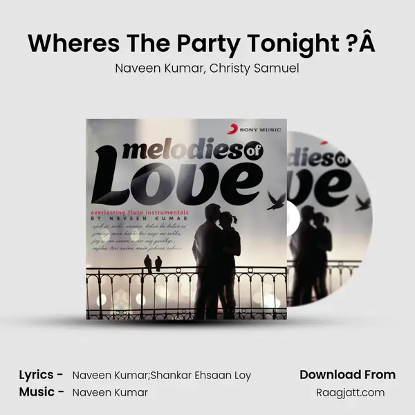 Where's The Party Tonight ?Â  (Instrumental) mp3 song