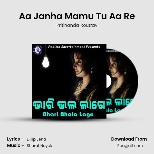 Aa Janha Mamu Tu Aa Re - Pritinanda Routray album cover 