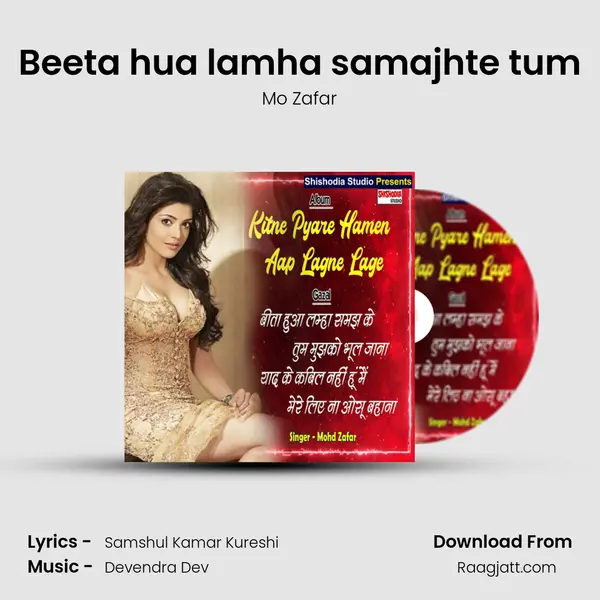 Beeta hua lamha samajhte tum - Mo Zafar album cover 