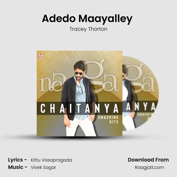 Adedo Maayalley (From Yuddham Sharanam) mp3 song