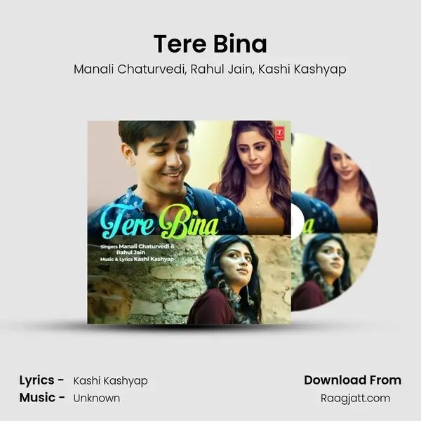 Tere Bina - Manali Chaturvedi album cover 