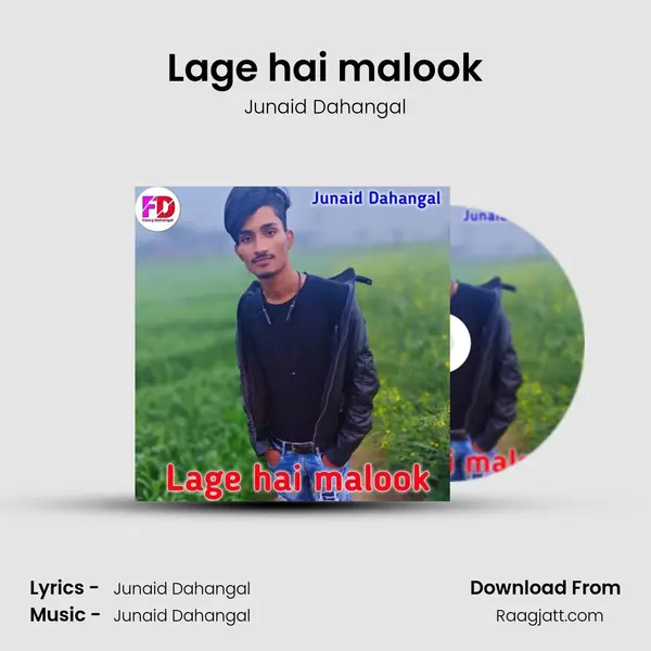 Lage hai malook mp3 song