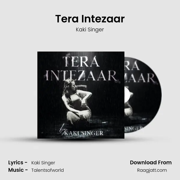 Tera Intezaar - Kaki Singer album cover 