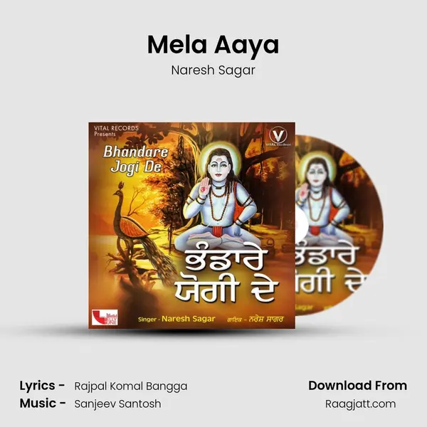 Mela Aaya - Naresh Sagar album cover 