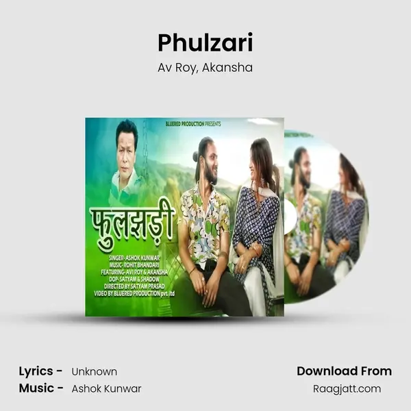 Phulzari - Av Roy album cover 