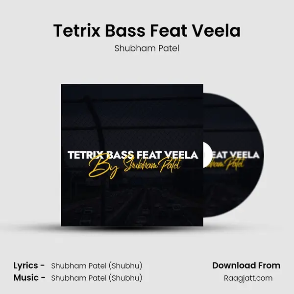 Tetrix Bass Feat Veela - Shubham Patel album cover 